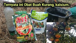 Kalsium mencegah buah rontok.