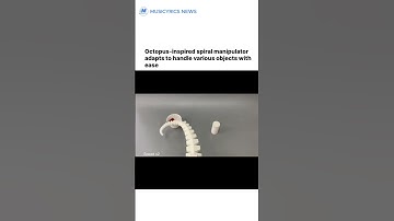 Octopus-Inspired Robotic Arm: Precision Meets Versatility! 🤖