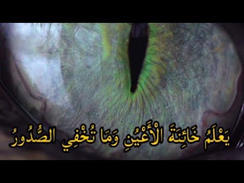 يعلم خائنة الأعين وما تخفي الصدور