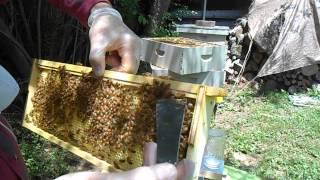Medium Hive Body - Bottom super