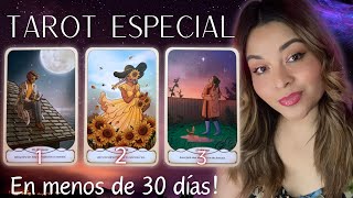 Nada es casualidad | Cómo una lectura personal🔮 ELIGE UNA OPCIÓN | TODOS LOS SIGNOS