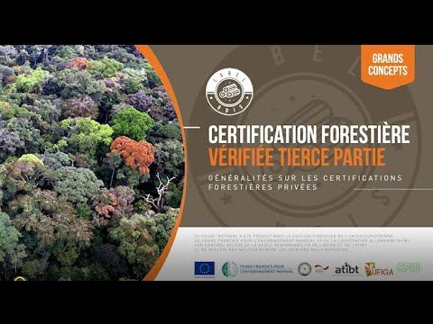 Collection Grands concepts - Certification forestière