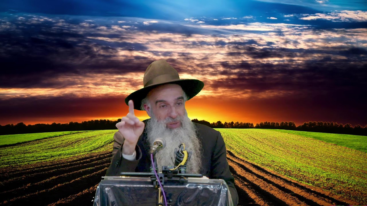 הרב מאיר דוד שמואלי שליט"א בנושא: תהיה מרובע ותצליח!