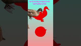 কেউ পারবেন না।#asmr #gamingclips #entertainment #trending #nature