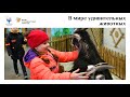 Фонд Чижова организовал экскурсию в зоопарк для детей из новых регионов