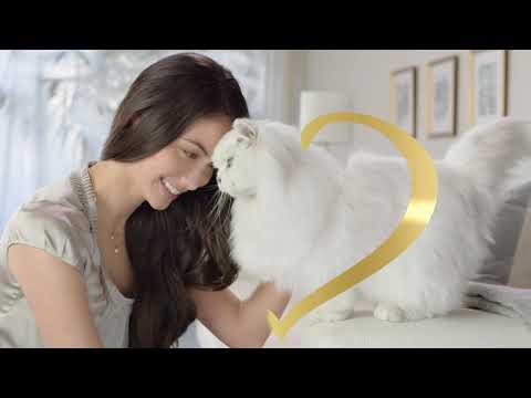 Try Gourmet Naturals Recipes Wet Cat Food – Fancy Feast