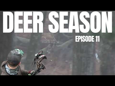 MONSTER MOUNTAIN BUCK!!! - Insane Rut Action!! - PA Public Land Archery Deer Hunting 2025