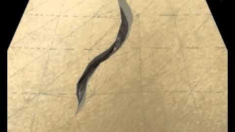 A State Machine for Real-Time Cutting of Tetrahedral Meshes (Pacific Graphics 2003)