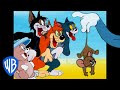 Tom & Jerry | What a Cat-astrophe!  | Classic Cartoon Compilation | WB Kids