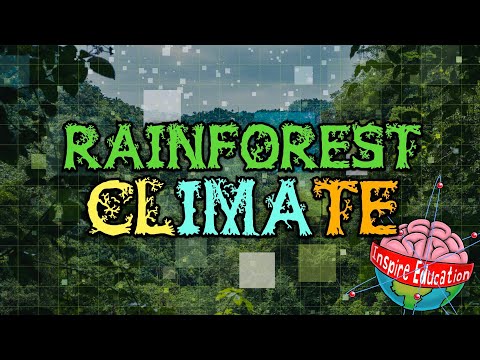 वीडियो: जंगल में क्या जलवायु है?