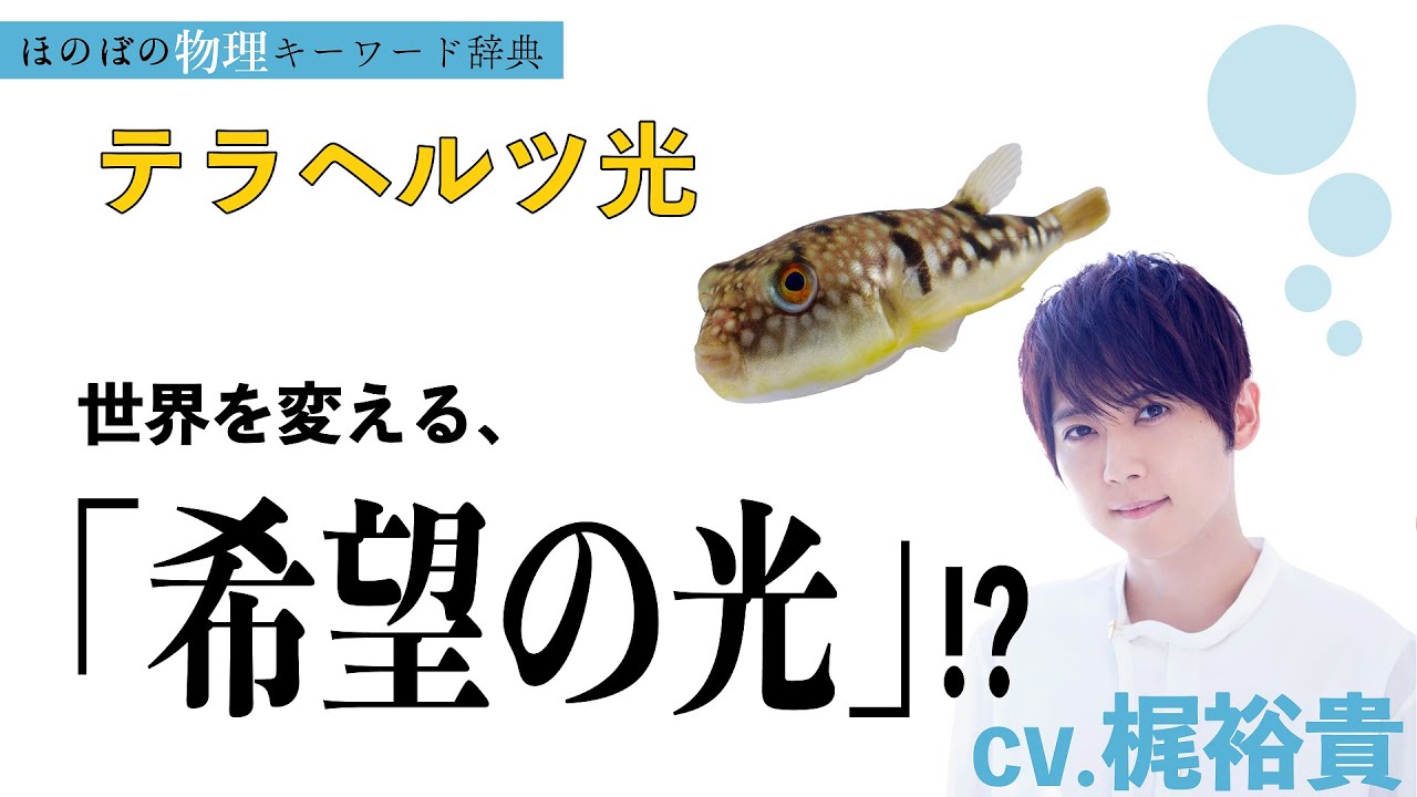 ほのぼの物理】#6「テラヘルツ光」✗ クサフグ【CV.梶裕貴】 - YouTube