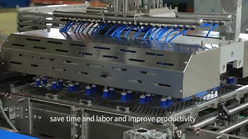 Retort Pouch Loading And Unloading Stations Baby Foods