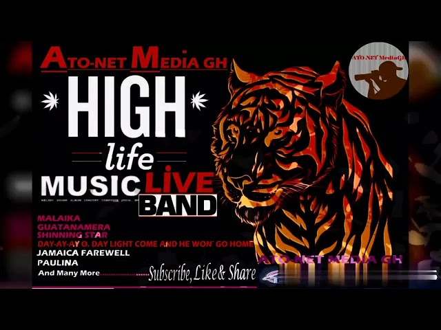 🐞MALAIKA-Intro- Hi-LIIFE COMPILATIONS OF THE BEST LIVE-BAND MUSIC (First🎶Class) --- [Official Audio] class=