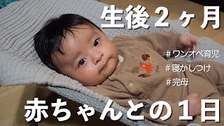 【平日ワンオペ】生後ヶ月赤ちゃんとの日 / 男の子baby / 完母 / 寝かしつけ