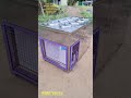 9989759316 8CANS FRUITJUICE MACHINE JUICECOOLER NAGASANJEEVA INDUSTRIES GPR 24 HOURS COOLING AC UNIT