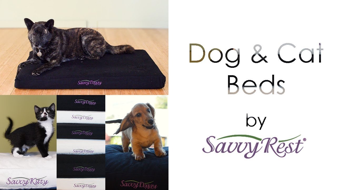 savvy rest dog bed
