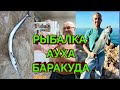 🇪🇦 РЫБАЛКА/АУХА/БАРАКУДА.