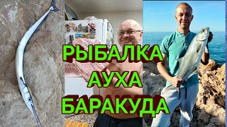 🇪🇦 РЫБАЛКА/АУХА/БАРАКУДА.