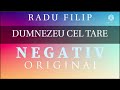 Negativ original - Dumnezeu cel tare