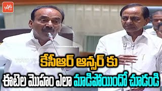 Etela Rajender Vs CM KCR | Minister Harish Rao | TS Budget 2023 | YOYO TV Channel