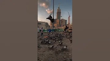 من عجيب أمر الرزق الشعراوي ستوريات حالات واتس 
