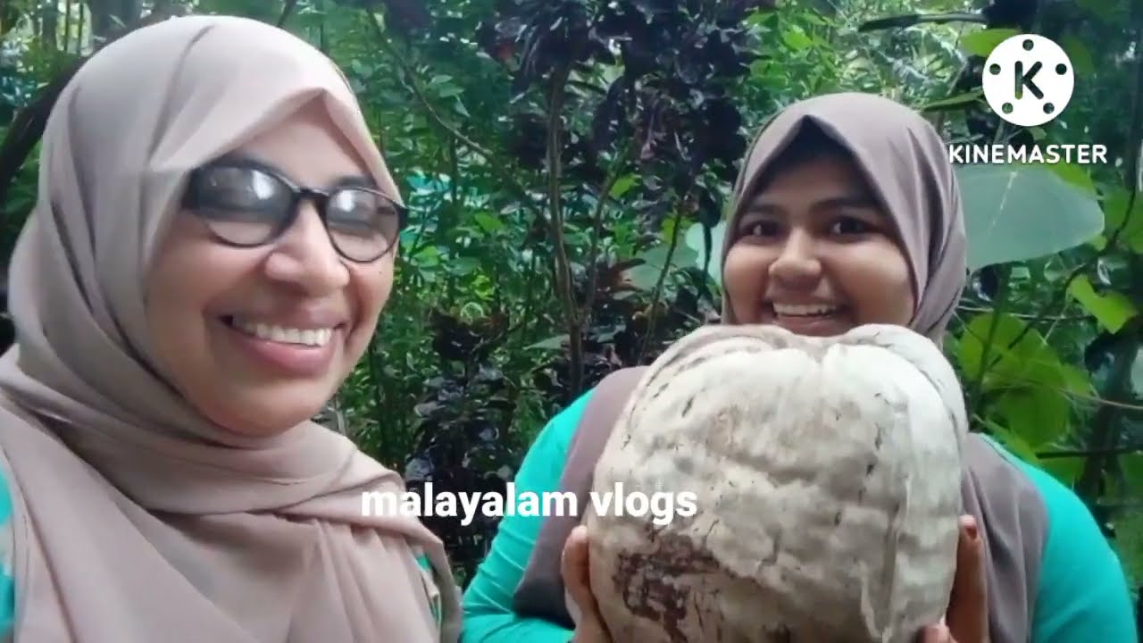 #malayalamvlogs