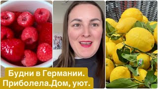 VLOG.НАША ЖИЗНЬ В ГЕРМАНИИ.ПРИБОЛЕЛА.ДОМ, УЮТ.