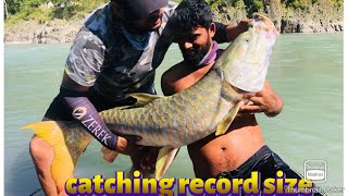 Gold Masher And Release Golden Mahseer Fish ്റി Resimi
