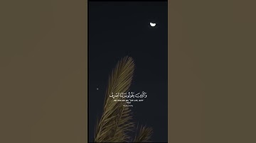 ارح سمعك✨ #القرآن_الكريم #سبحان_الله #راحة_نفسية #قراءة_قرآن #آيات #تلاوة #خشوع #صوت_جميل #اسلاميات
