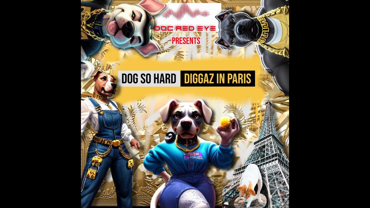 Dog So Hard | Diggaz In Paris - Parody Song Coming Soon!