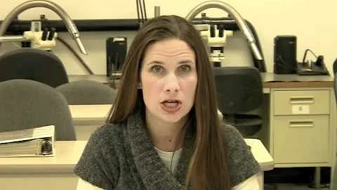 IPC-7711 & IPC-7721 Training & Certification Program