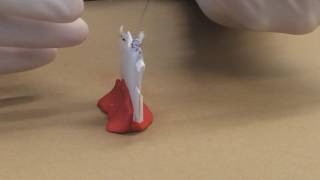 ELMS Video Project Final