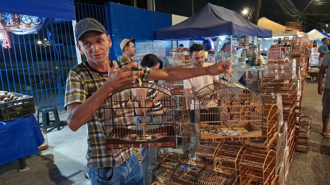 VOCÊ NÃO VAI ACREDITAR 😳 Baianinha Padrão por Apenas 50 Reais!  Na Feira do cordeiro 