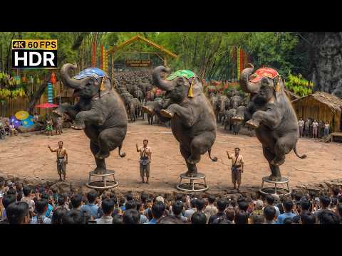 🇹🇭 4K HDR | An Amazing Show 🐘 The Smartest Elephant in the World | Safari World Thailand