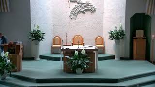 Weekday Mass - St. Ann Parish (Parsippany, NJ)