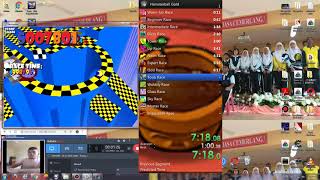 Hamsterball Any Speedrun