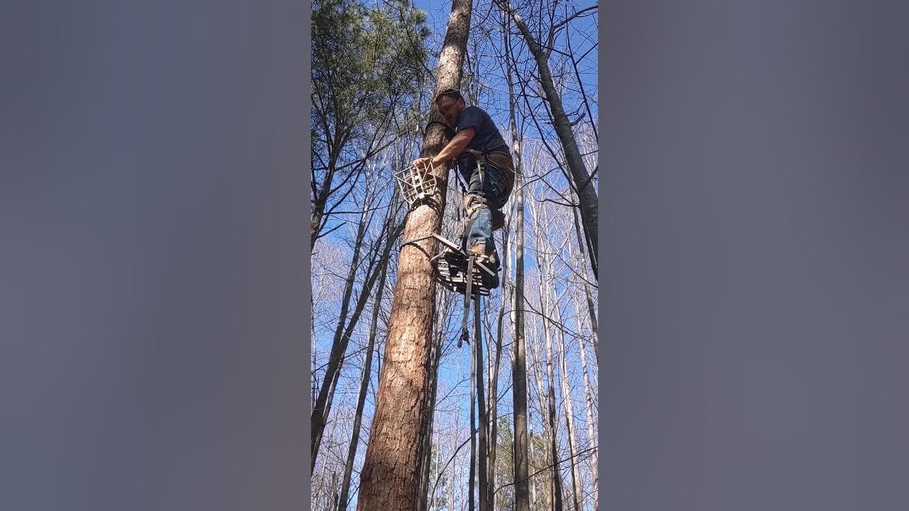 Lone wolf hand climber Tethrd Phantom tree saddle hunting YouTube