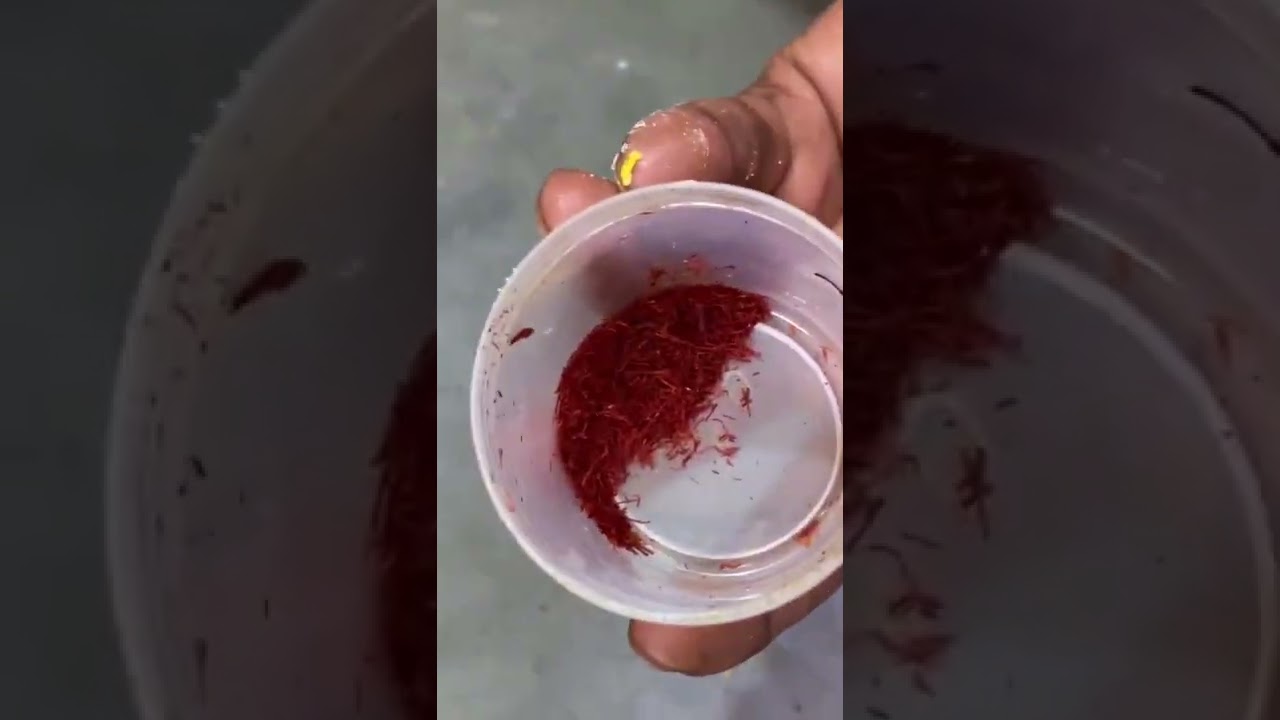 Nutty Ice Cream in Orange 🥵🥵🤤🤤