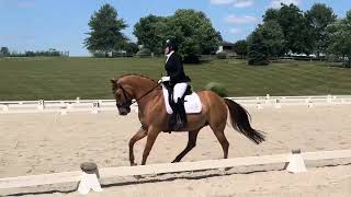 Flexi & Jenna Brown: Training Level Test 3