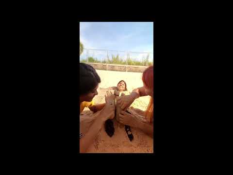 Reflexology Project Episode 37 Preview Four Handed Foot Tickling Sand Feet Tickling In Public 