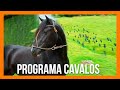 PROGRAMA CAVALOS - 26.03 .2023