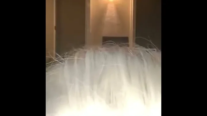 Stan Twitter 101 : Drag Queen Rolling Ray can’t help sleeping during livestream