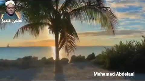 كروان التلاوة الشيخ الجليل فتحى قنديل ورائعه سورة "النبا" تذيب القلب خشوعا وتضرعا رحمه الله