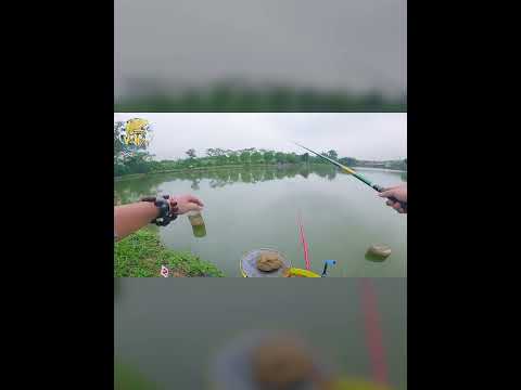 CÂU RÔ HỒ DỊCH VỤ XUÂN CANH HƯƠNG TẨU - PHẦN 1