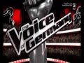 The Voice of Germany Intro.