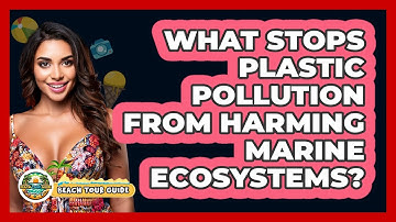 What Stops Plastic Pollution From Harming Marine Ecosystems? - Beach Tour Guide