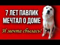 Спустя 7 лет скитаний, у Пашки появился дом!