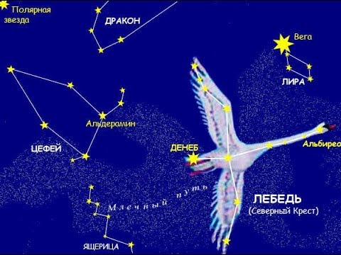 Видео: Где находится созвездие Лебедя?