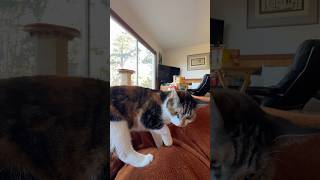 Look Who Just Arrived