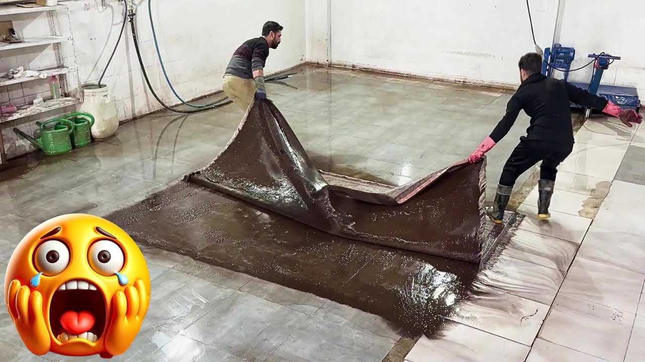 Молодая пара покупает старый ковер за 5000 долларов и делает его новым.